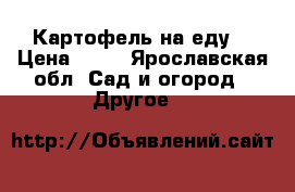 Картофель на еду  › Цена ­ 10 - Ярославская обл. Сад и огород » Другое   